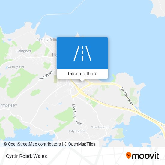Cyttir Road map