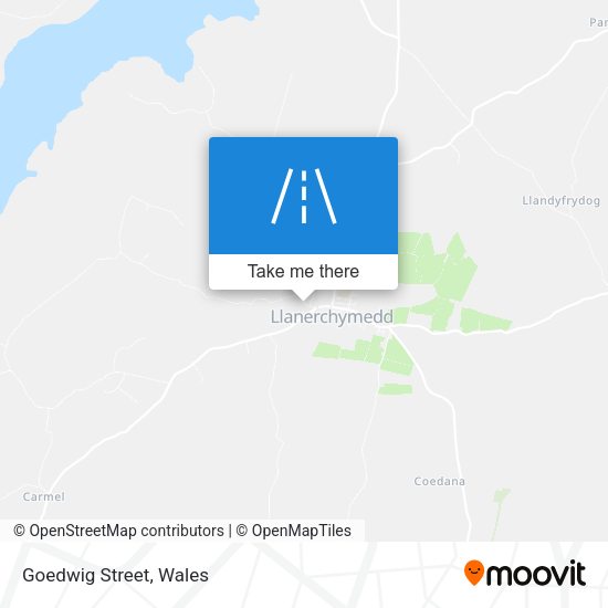Goedwig Street map