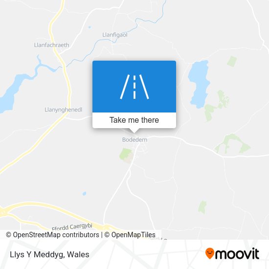 Llys Y Meddyg map
