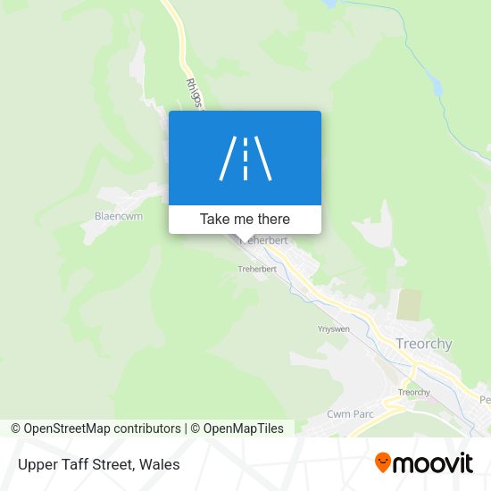 Upper Taff Street map