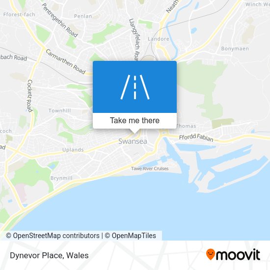 Dynevor Place map