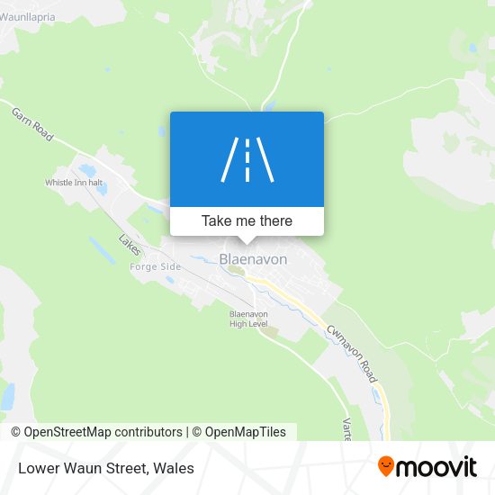 Lower Waun Street map