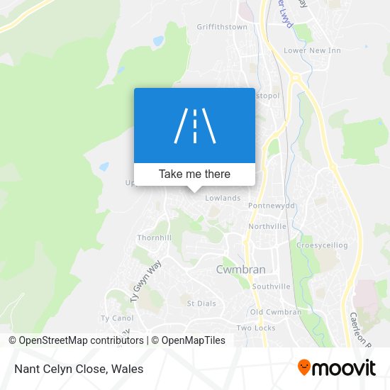 Nant Celyn Close map