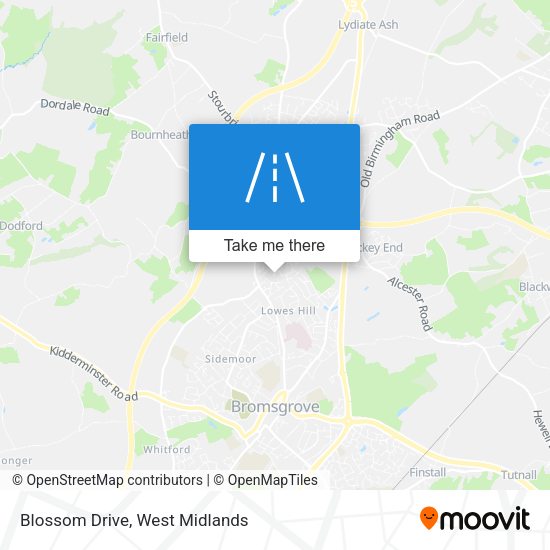 Blossom Drive map