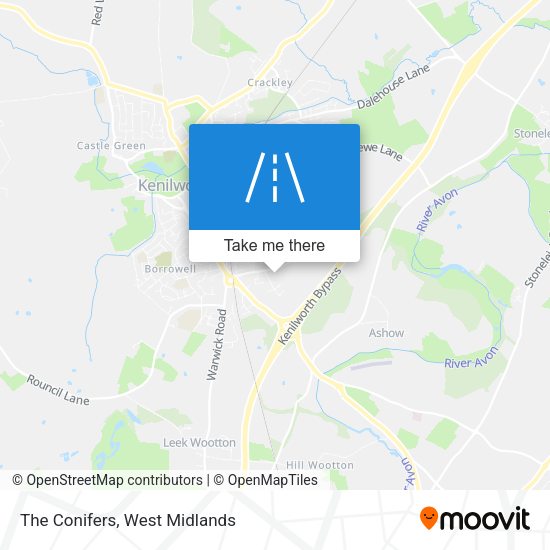 The Conifers map