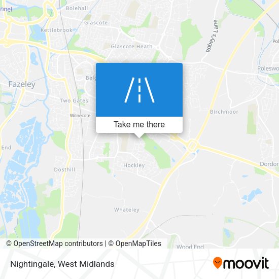 Nightingale map
