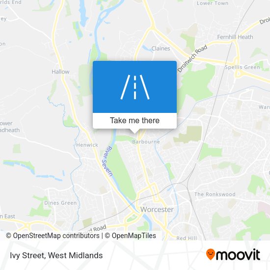 Ivy Street map