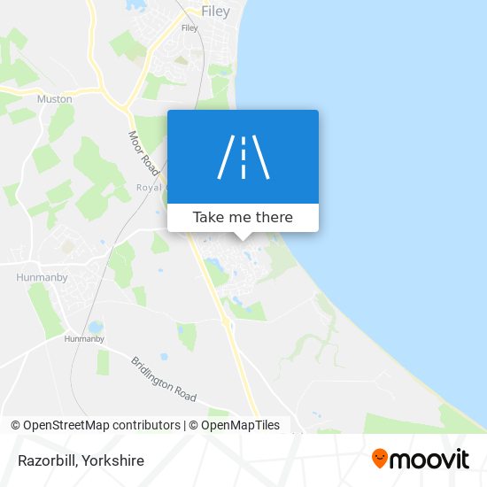 Razorbill map