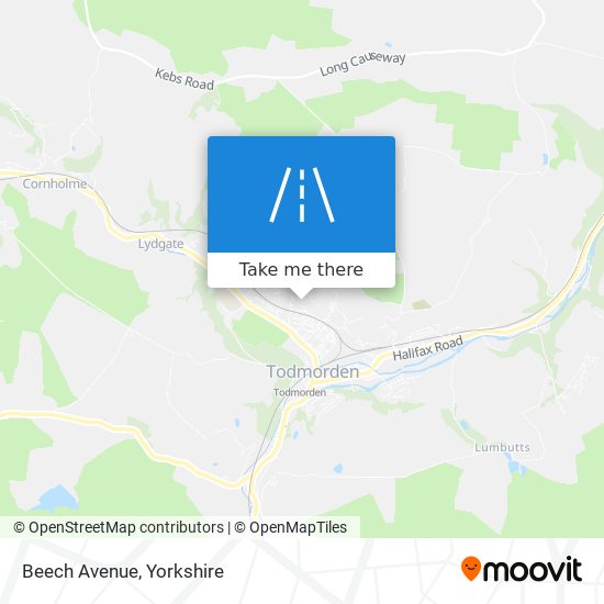 Beech Avenue map