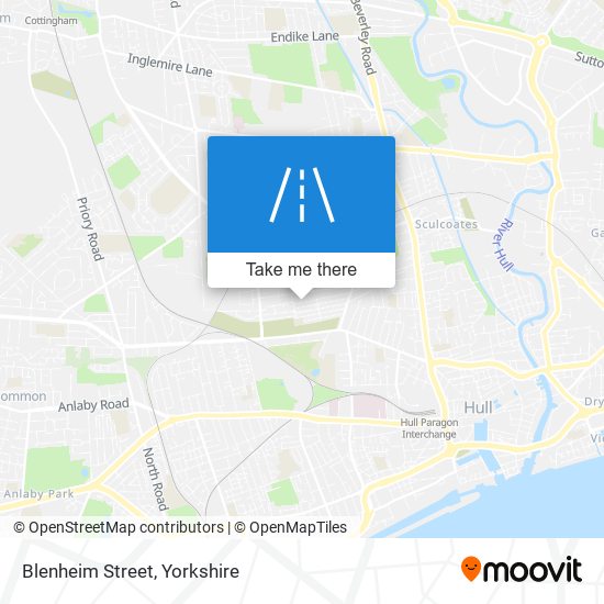 Blenheim Street map