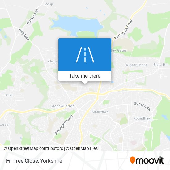 Fir Tree Close map