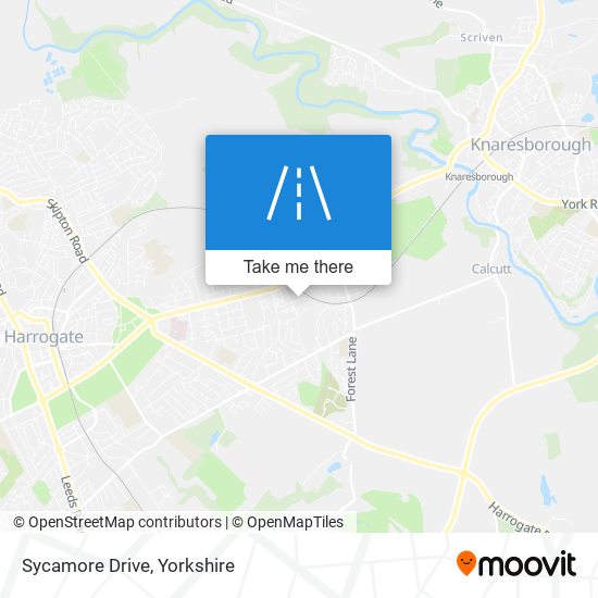 Sycamore Drive map