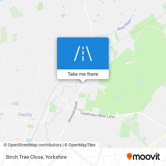 Birch Tree Close map