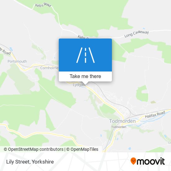 Lily Street map