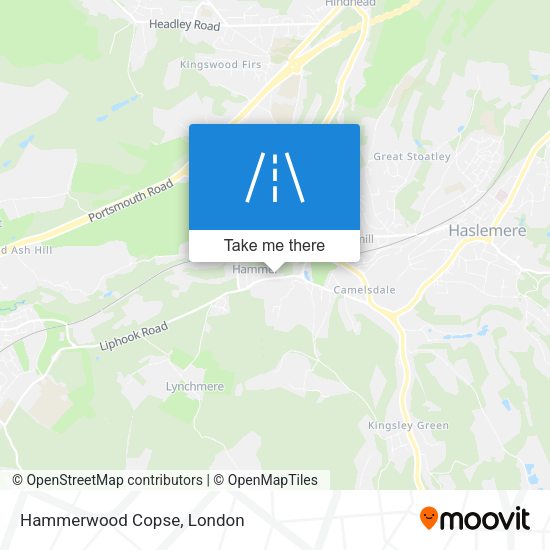 Hammerwood Copse map