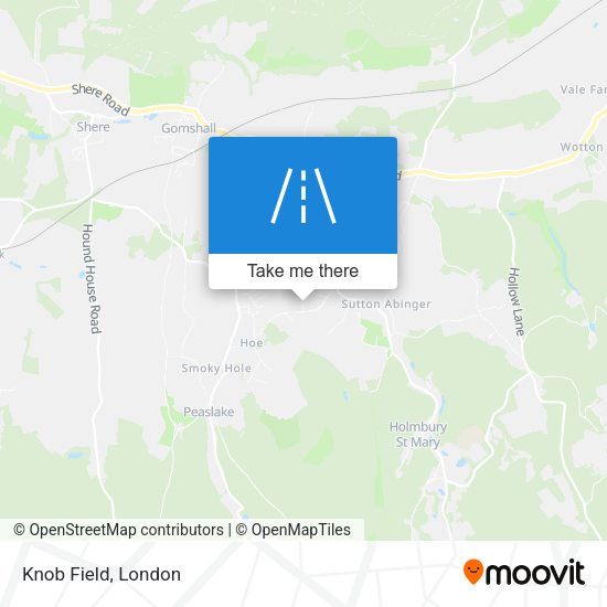 Knob Field map