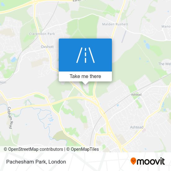 Pachesham Park map