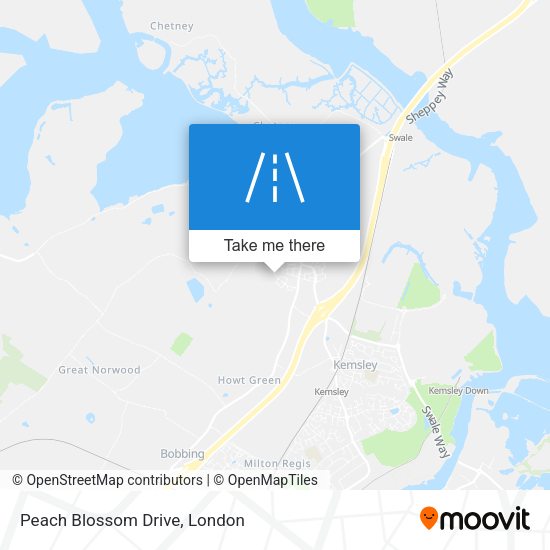 Peach Blossom Drive map