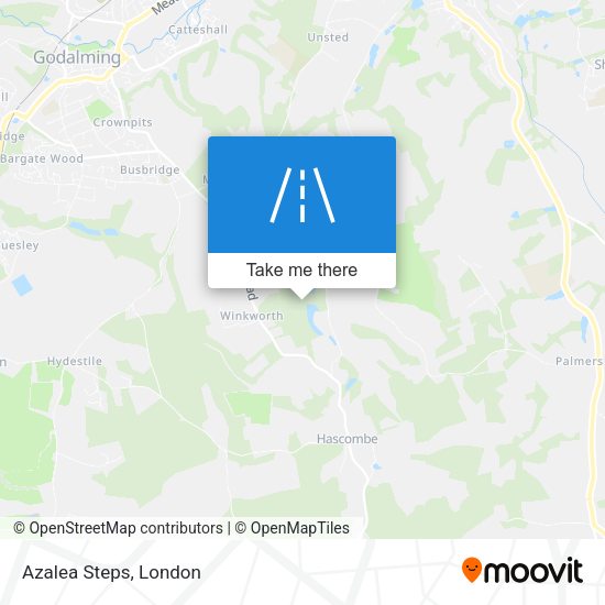 Azalea Steps map