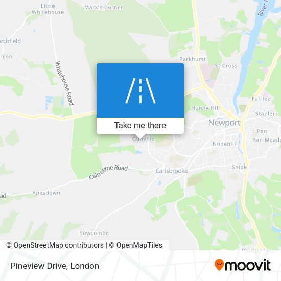 Pineview Drive map