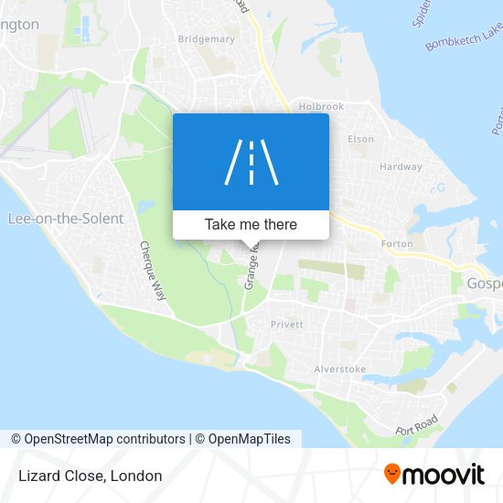 Lizard Close map