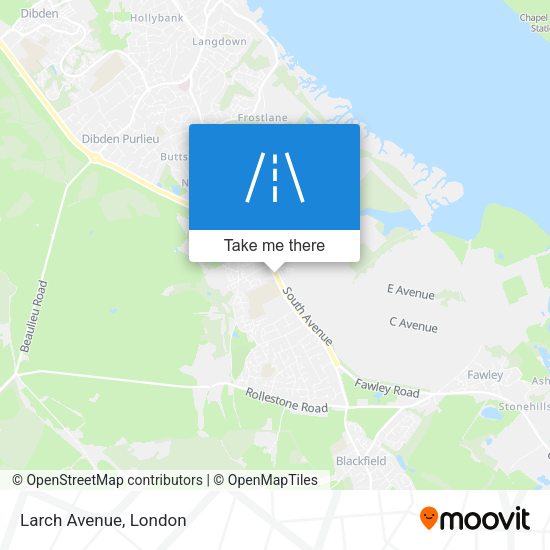Larch Avenue map