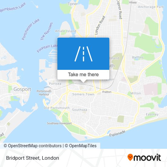 Bridport Street map