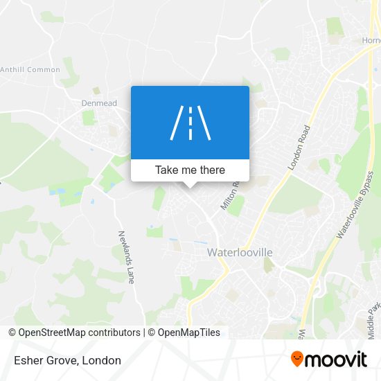 Esher Grove map