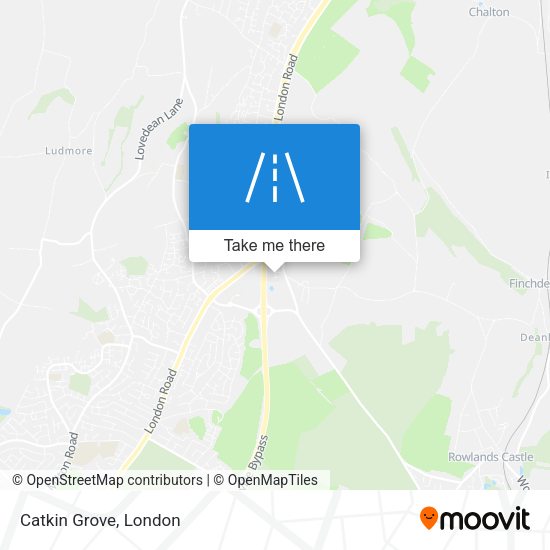 Catkin Grove map