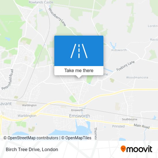 Birch Tree Drive map