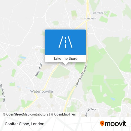 Conifer Close map