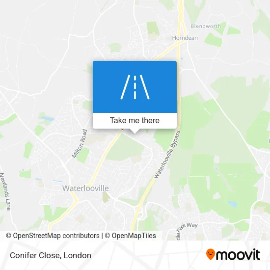 Conifer Close map