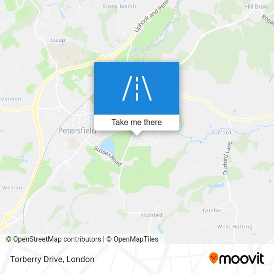 Torberry Drive map