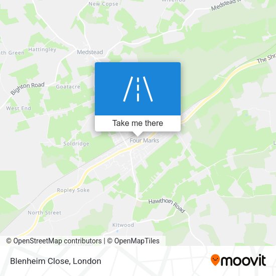 Blenheim Close map