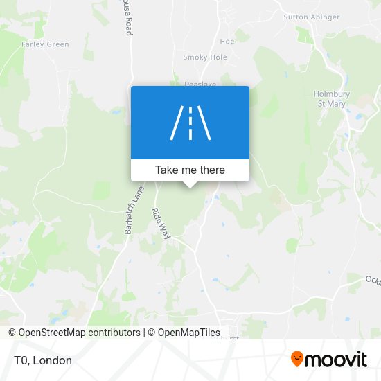 T0 map