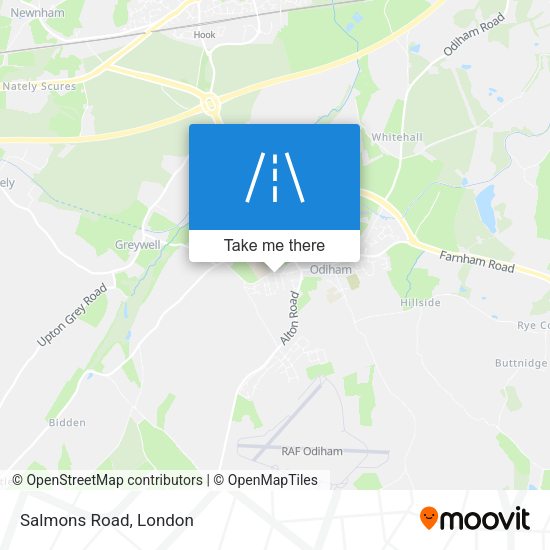 Salmons Road map
