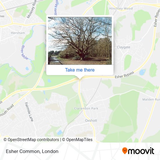 Esher Common map