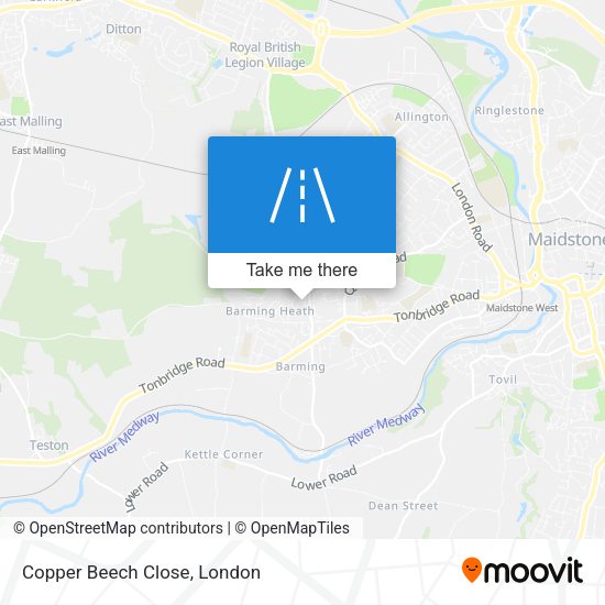 Copper Beech Close map