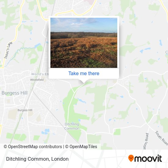 Ditchling Common map