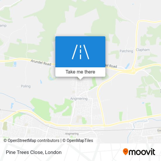 Pine Trees Close map