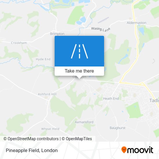 Pineapple Field map