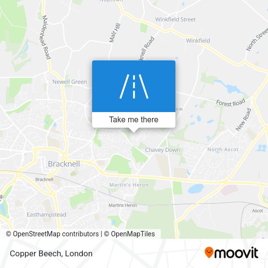 Copper Beech map