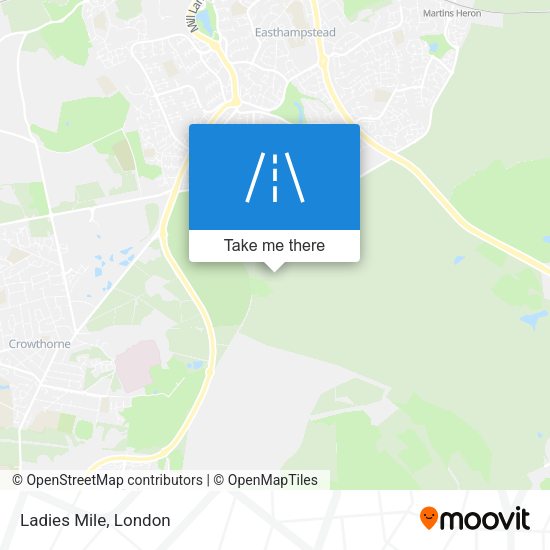 Ladies Mile map
