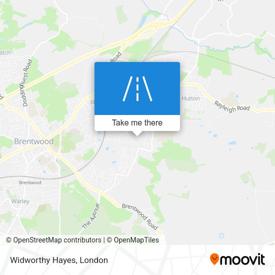 Widworthy Hayes map