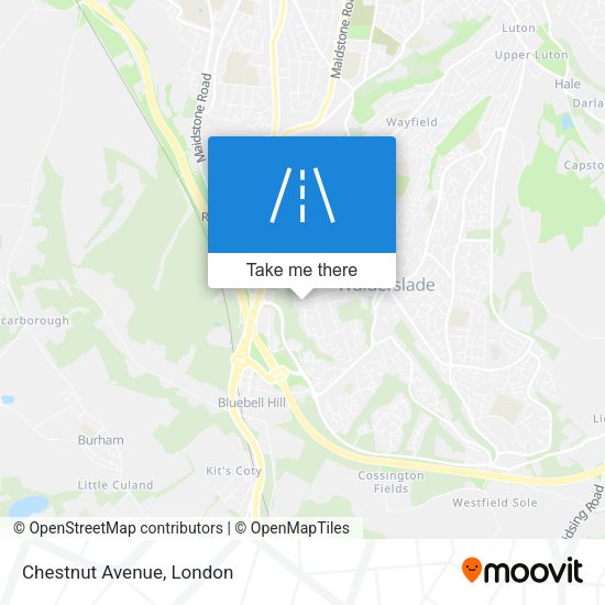 Chestnut Avenue map
