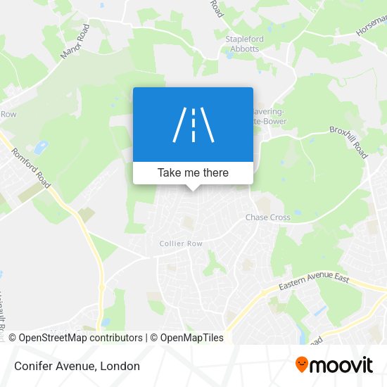 Conifer Avenue map