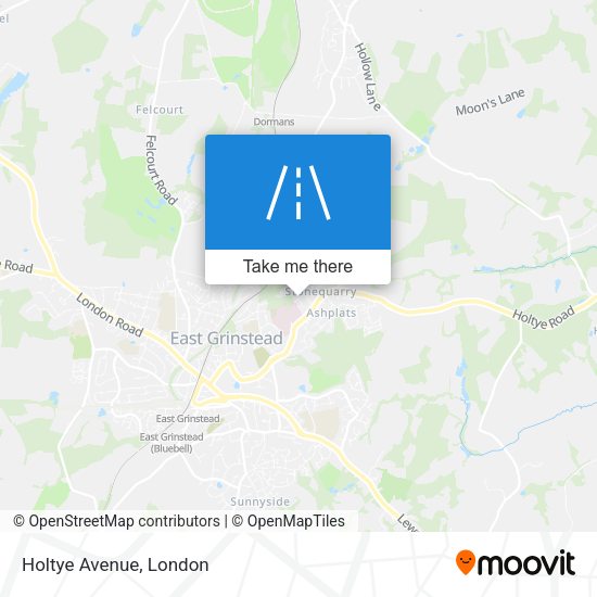 Holtye Avenue map