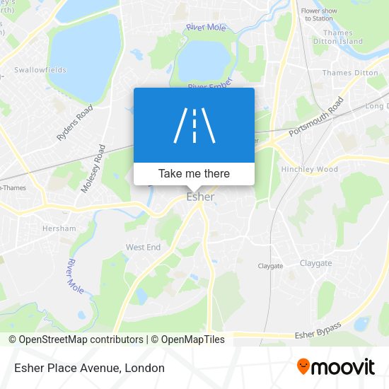 Esher Place Avenue map