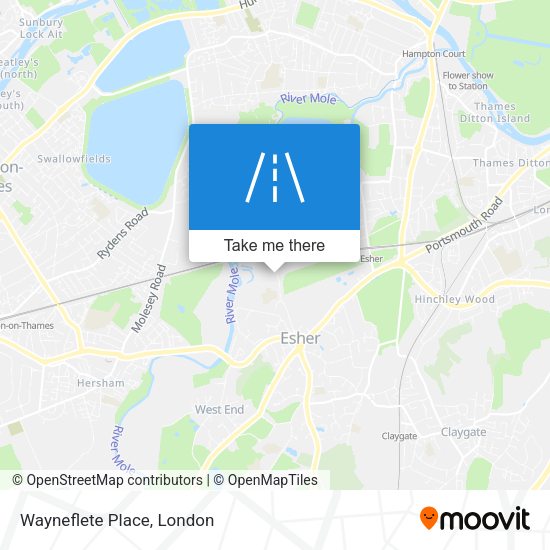 Wayneflete Place map