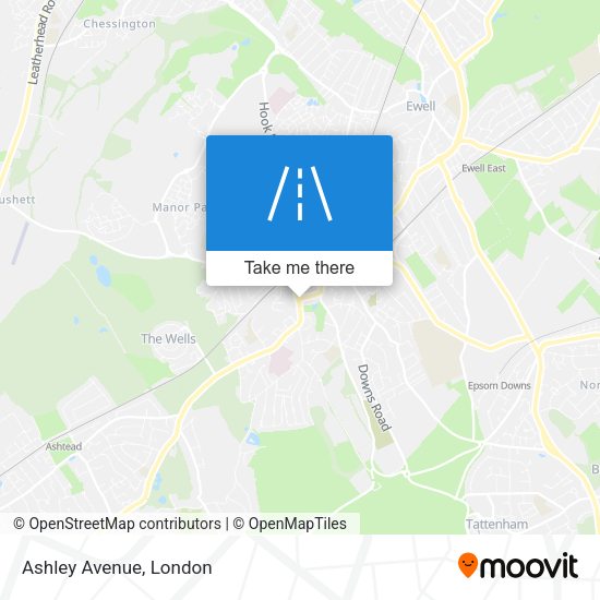 Ashley Avenue map
